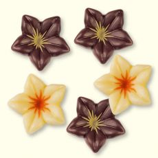Lilien aus brauner oder weißer Schokolade :: Durchmesser: ~28 mm, ArtikelNr: 2340 (braun)/ 2341 (weiß)
